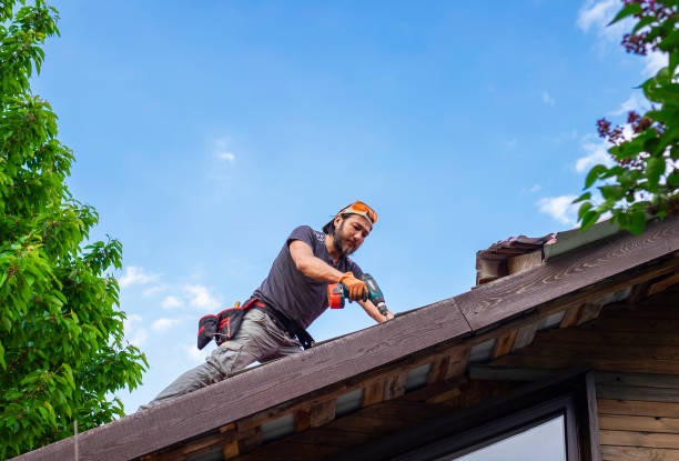 Best Roof Maintenance and Cleaning  in Columbus, TX